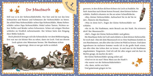 Der kleine Siebenschläfer: Adventsgeschichten aus dem Lichterwald