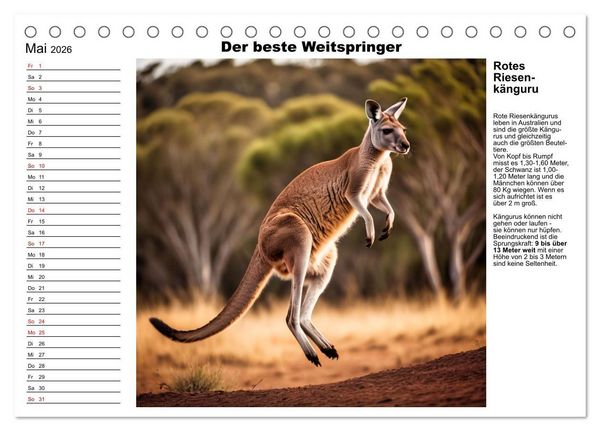 Produktbild: Tierische Rekorde (Tischkalender 2026 DIN A5 quer), CALVENDO Monatskalender