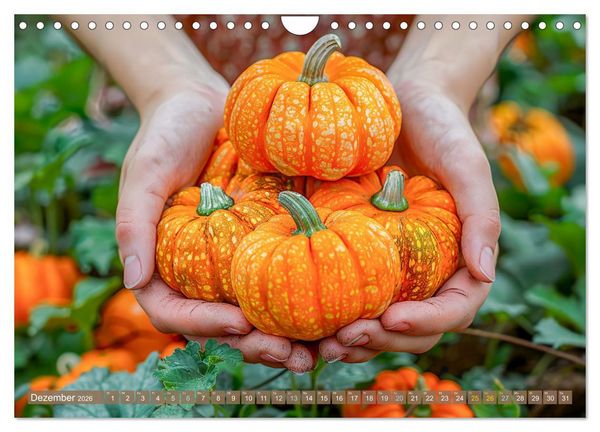 Produktbild: Mein Gem&uuml;segarten - Ein Jahr knackig frisches Gem&uuml;se (Wandkalender 2026 DIN A4 quer), CALVENDO Monatskalender