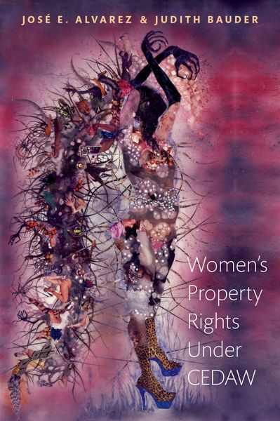 Produktbild: Women's Property Rights Under CEDAW