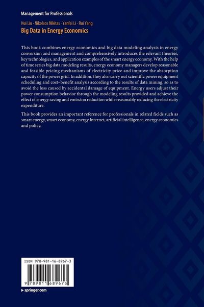 Produktbild: Big Data in Energy Economics