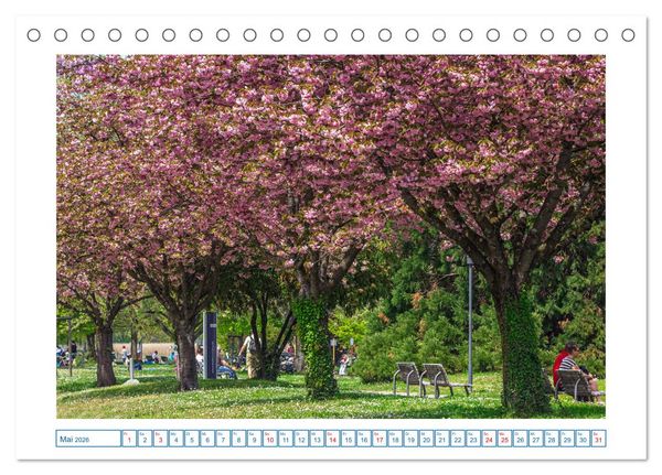 Produktbild: Bodman - sch&ouml;ner kleiner Ort direkt am Bodensee (Tischkalender 2026 DIN A5 quer), CALVENDO Monatskalender