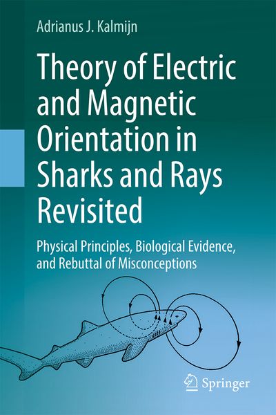 Produktbild: Theory of Electric and Magnetic Orientation in Sharks and Rays Revisited