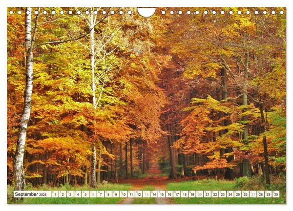 Produktbild: Rotenburg - Die bunte Stadt an der W&uuml;mme (Wandkalender 2026 DIN A4 quer), CALVENDO Monatskalender