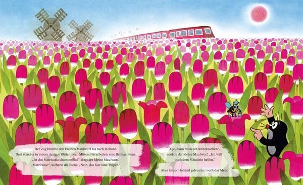 Produktbild: Wie der kleine Maulwurf das M&auml;uslein heilte