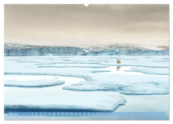 Produktbild: Eisb&auml;ren: Lebensk&uuml;nstler im Eis (hochwertiger Premium Wandkalender 2026 DIN A2 quer), Kunstdruck in Hochglanz