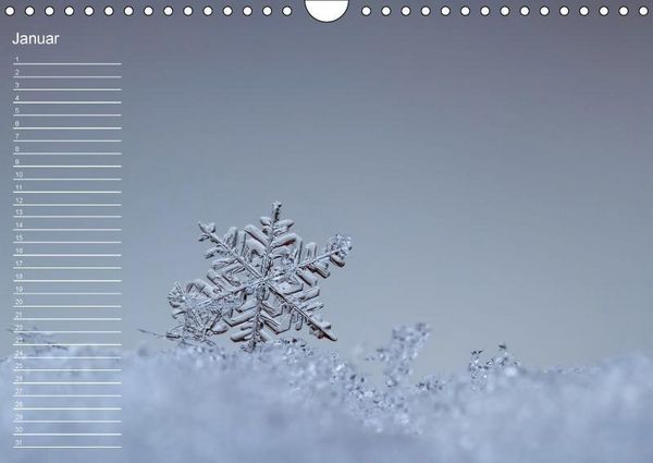 Produktbild: Nah ... N&auml;her ... MAKRO (Wandkalender immerw&auml;hrend DIN A4 quer)