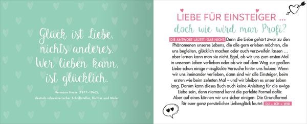 Produktbild: Liebe für Einsteiger