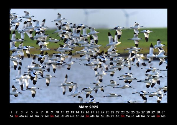 Produktbild: Die Seen der Erde 2025 Fotokalender DIN A3