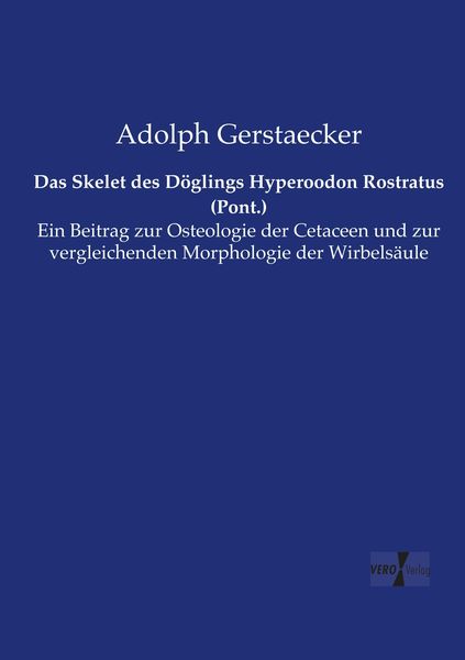 Produktbild: Das Skelet des D&ouml;glings Hyperoodon Rostratus (Pont.)