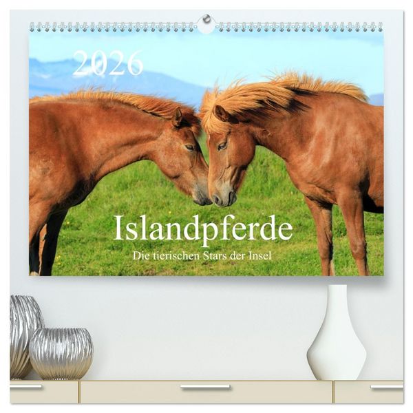 Islandpferde - Die tierischen Stars der Insel (hochwertiger Premium Wandkalender 2026 DIN A2 quer), Kunstdruck in Hochglanz