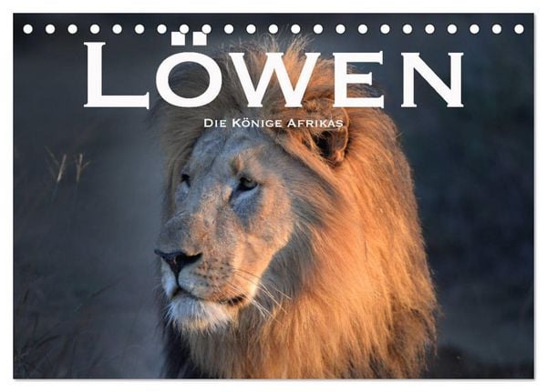 Produktbild: L&ouml;wen. Die K&ouml;nige Afrikas (Tischkalender 2026 DIN A5 quer), CALVENDO Monatskalender