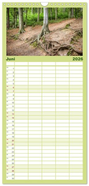 Produktbild: Familienplaner 2026 - Der Odenwald und das Felsenmeer mit 5 Spalten (Wandkalender, 21 x 45 cm) CALVENDO