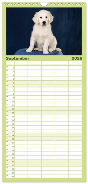 Produktbild: Familienplaner 2026 - Golden Retriever mit 5 Spalten (Wandkalender, 21 x 45 cm) CALVENDO