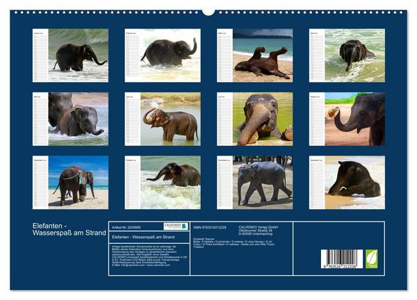 Produktbild: Elefanten - Wasserspa&szlig; am Strand (hochwertiger Premium Wandkalender 2026 DIN A2 quer), Kunstdruck in Hochglanz