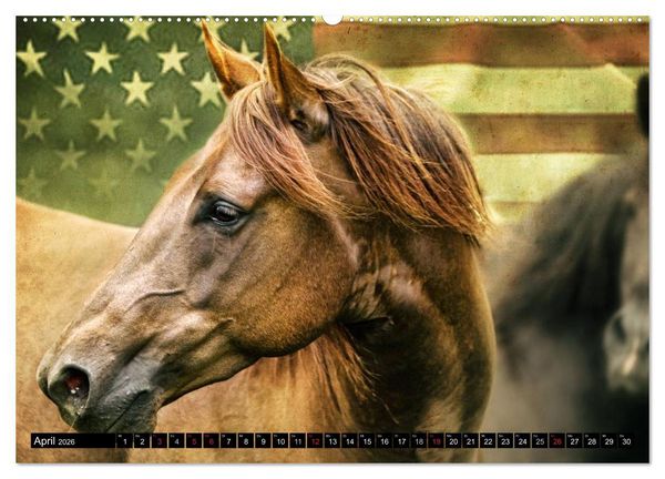 Produktbild: Western und Pferde (hochwertiger Premium Wandkalender 2026 DIN A2 quer), Kunstdruck in Hochglanz