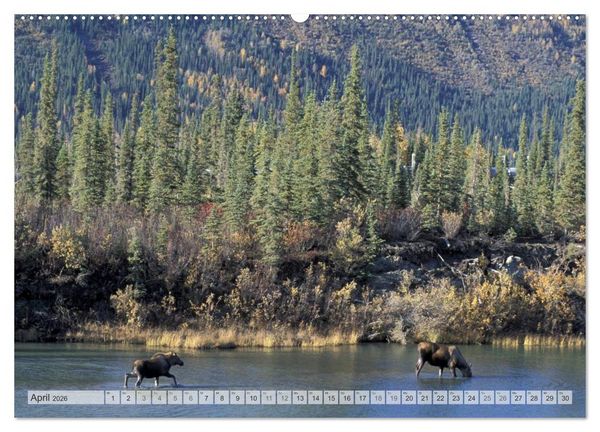 Produktbild: Wildes Alaska Christian Heeb (Wandkalender 2026 DIN A2 quer), CALVENDO Monatskalender