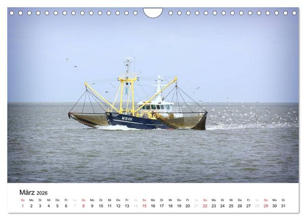 Produktbild: sch&ouml;nes Texel (Wandkalender 2026 DIN A4 quer), CALVENDO Monatskalender