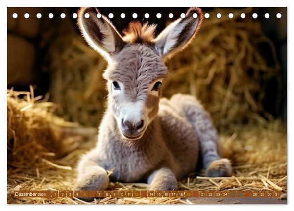 Produktbild: Tierkinder auf dem Land (Tischkalender 2026 DIN A5 quer), CALVENDO Monatskalender