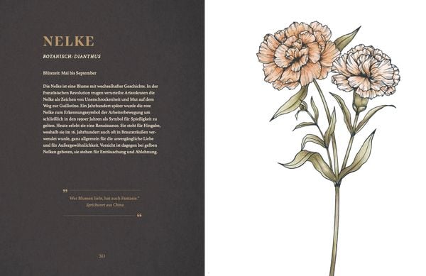 Produktbild: Vintage Flowers – Die Sprache der Blumen