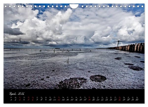 Produktbild: Friedrichskoog Buhnen und Salzwiesen (Wandkalender 2026 DIN A4 quer), CALVENDO Monatskalender