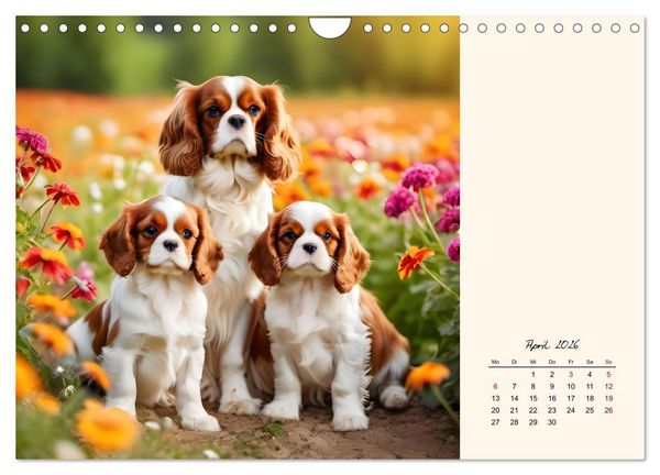Produktbild: Goldige Kavalier King Charles Spaniels (Wandkalender 2026 DIN A4 quer), CALVENDO Monatskalender