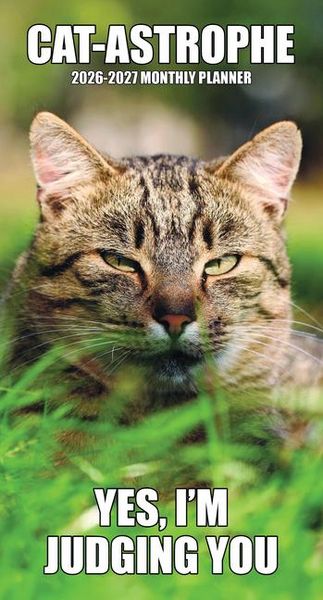 Produktbild: Cat-Astrophe 2-Year 2026-27 3.5 X 6.5 Monthly Pocket Planner
