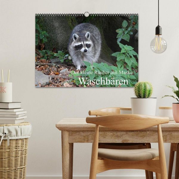 Produktbild: Der kleine R&auml;uber mit Maske - Waschb&auml;ren (Wandkalender 2026 DIN A3 quer), CALVENDO Monatskalender