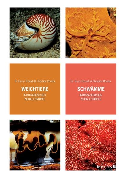 Produktbild: Steinkorallen/Niedere Tiere/Weichtiere/Schwämme/Stachelhäuter/Fische indopazifischer Korallenriffe