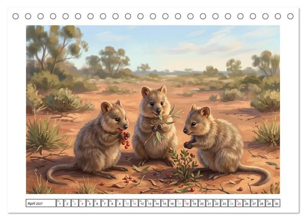 Produktbild: Quokkas - Gl&uuml;ckliche Momente im australischen Busch (Tischkalender 2027 DIN A5 quer), CALVENDO Monatskalender