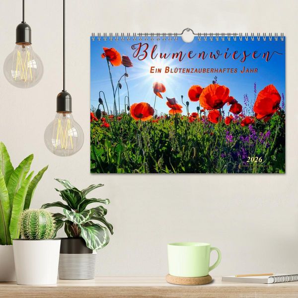 Produktbild: Blumenwiesen &ndash; ein bl&uuml;tenzauberhaftes Jahr (Wandkalender 2026 DIN A4 quer), CALVENDO Monatskalender