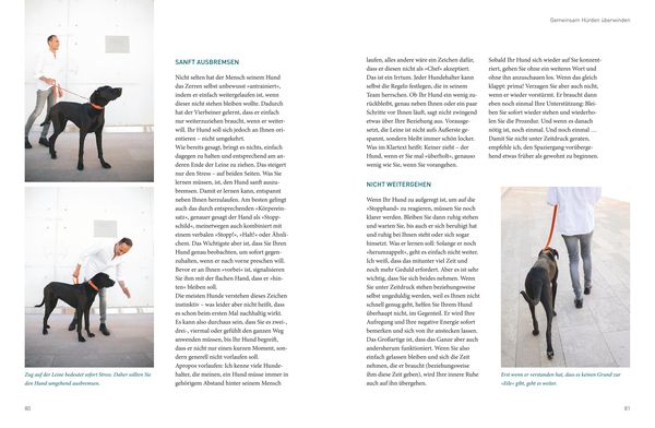 Die José-Arce-Methode: Liebe Deinen Hund. Wie Sie beim Gassigehen die Beziehung stärken
