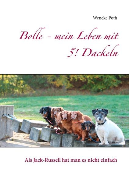 Produktbild: Bolle - mein Leben mit 5! Dackeln