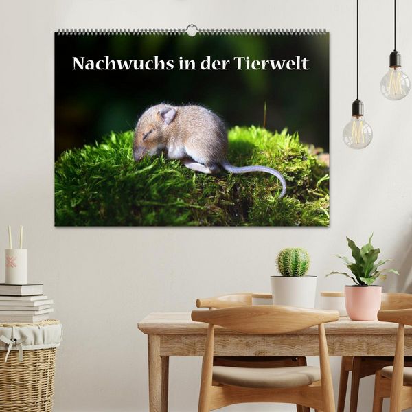 Produktbild: Nachwuchs in der Tierwelt (Wandkalender 2026 DIN A2 quer), CALVENDO Monatskalender