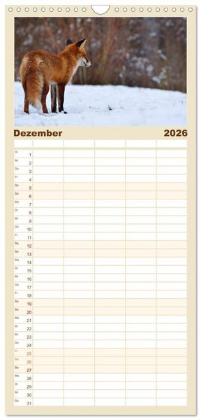 Produktbild: Familienplaner 2026 - Auf den Spuren der Stadtf&uuml;chse mit 5 Spalten (Wandkalender, 21 x 45 cm) CALVENDO