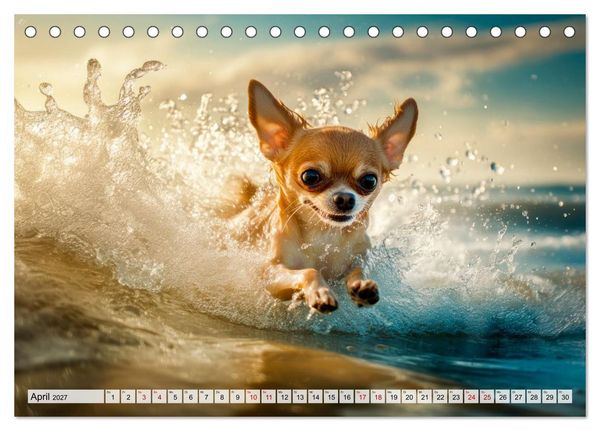 Produktbild: Niedliche Chihuahuas (Tischkalender 2027 DIN A5 quer), CALVENDO Monatskalender
