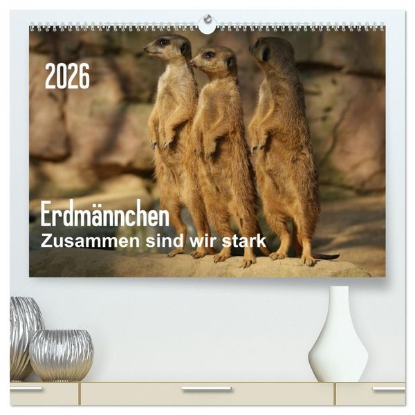 Erdmännchen – Zusammen sind wir stark (hochwertiger Premium Wandkalender 2026 DIN A2 quer), Kunstdruck in Hochglanz