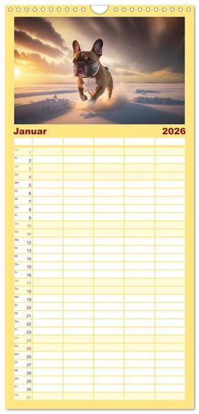 Produktbild: Familienplaner 2026 - Franz&ouml;sische Bulldoggen mit 5 Spalten (Wandkalender, 21 x 45 cm) CALVENDO