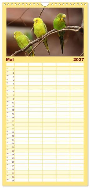 Produktbild: Familienplaner 2027 - Wellensittiche - Gefiederte Freunde mit 5 Spalten (Wandkalender, 21 x 45 cm) CALVENDO