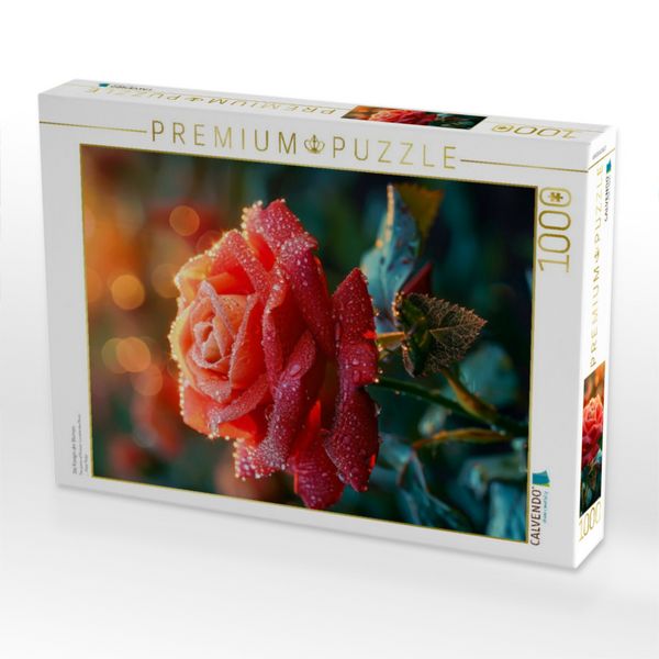 Produktbild: CALVENDO Puzzle Die K&ouml;nigin der Blumen | 1000 Teile Lege-Gr&ouml;&szlig;e 64x48cm Foto-Puzzle f&uuml;r gl&uuml;ckliche Stunden