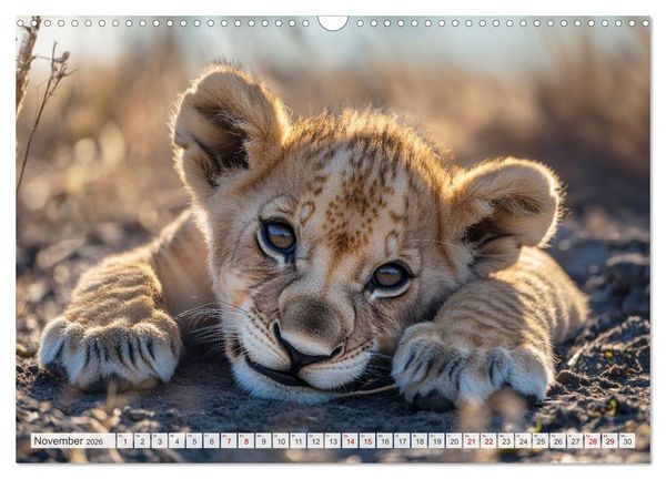 Produktbild: TIERKINDER Abenteuer Wildnis (Wandkalender 2026 DIN A3 quer), CALVENDO Monatskalender