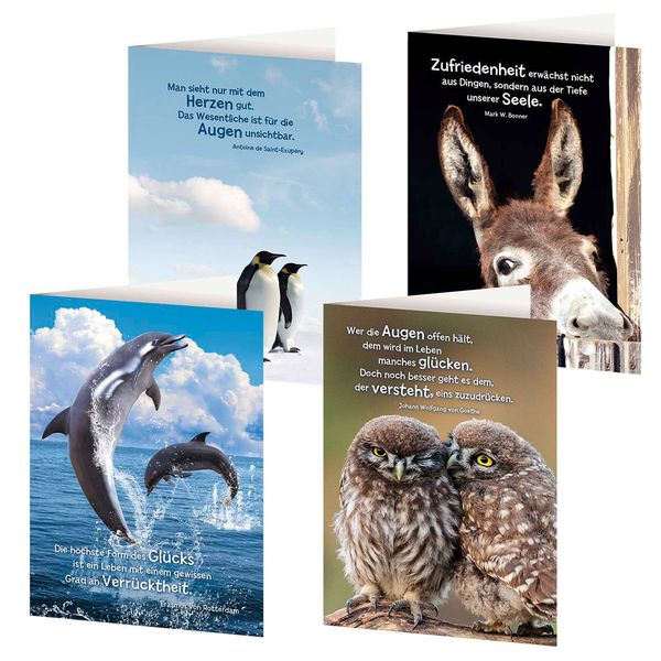Produktbild: 4er-Set Gru&szlig;karten &raquo;Tierische Weisheiten&laquo;