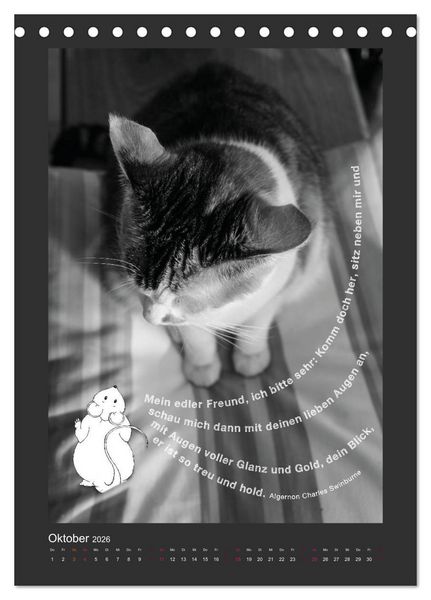 Produktbild: Katz & Maus (Tischkalender 2026 DIN A5 hoch), CALVENDO Monatskalender