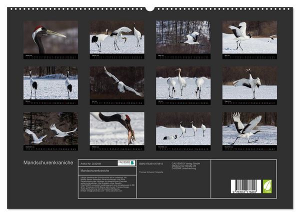 Produktbild: Mandschurenkraniche (hochwertiger Premium Wandkalender 2026 DIN A2 quer), Kunstdruck in Hochglanz