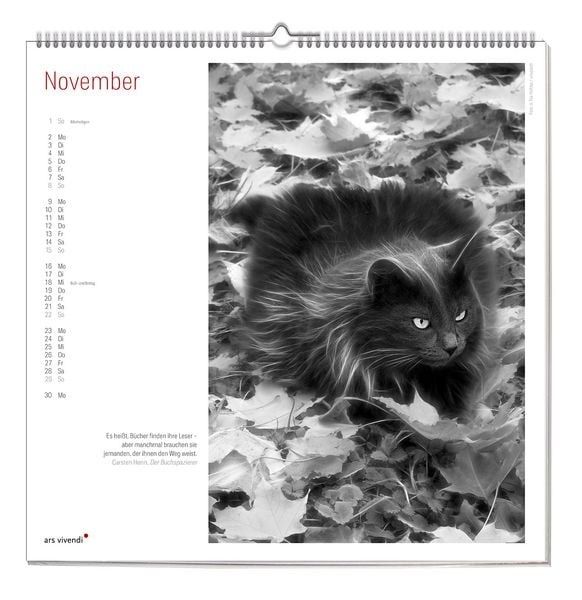 Produktbild: Der grosse literarische Katzen Kalender 2027
