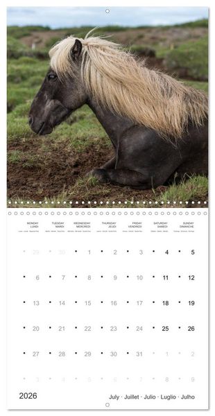Produktbild: Icelandic Horses - wild and free (Wall Calendar 2026 12 &times; 12 Inch) CALVENDO 12 Month Wall Calendar