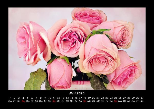 Produktbild: Rosen-Kalender 2025 Fotokalender DIN A3