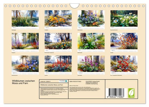 Produktbild: Wildblumen zwischen Moos und Farn (Wandkalender 2027 DIN A4 quer), CALVENDO Monatskalender