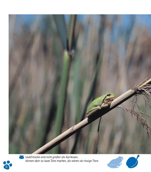 Produktbild: Meine gro&szlig;e Tierbibliothek: Der Frosch