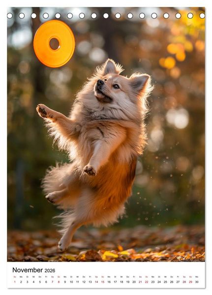Produktbild: Hunde haben Spa&szlig; (Tischkalender 2026 DIN A5 hoch), CALVENDO Monatskalender
